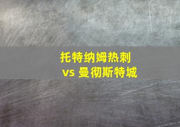 托特纳姆热刺 vs 曼彻斯特城